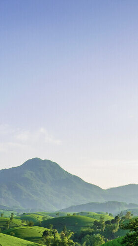 header hero
